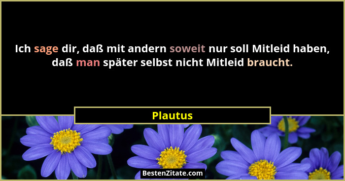 Ich sage dir, daß mit andern soweit nur soll Mitleid haben, daß man später selbst nicht Mitleid braucht.... - Plautus