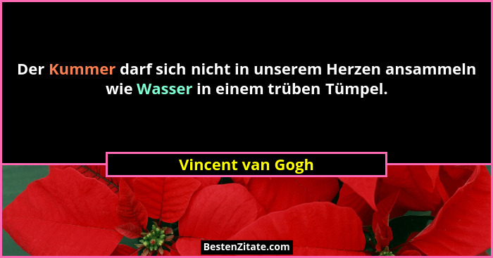 Der Kummer darf sich nicht in unserem Herzen ansammeln wie Wasser in einem trüben Tümpel.... - Vincent van Gogh
