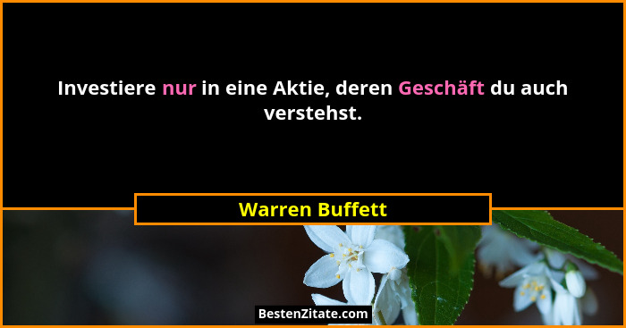 Investiere nur in eine Aktie, deren Geschäft du auch verstehst.... - Warren Buffett