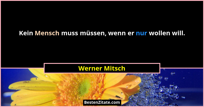 Kein Mensch muss müssen, wenn er nur wollen will.... - Werner Mitsch