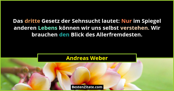Das dritte Gesetz der Sehnsucht lautet: Nur im Spiegel anderen Lebens können wir uns selbst verstehen. Wir brauchen den Blick des Alle... - Andreas Weber