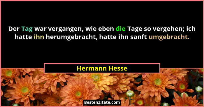 Der Tag war vergangen, wie eben die Tage so vergehen; ich hatte ihn herumgebracht, hatte ihn sanft umgebracht.... - Hermann Hesse