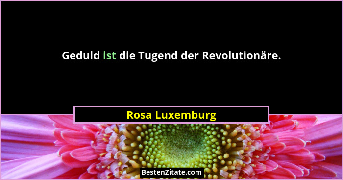 Geduld ist die Tugend der Revolutionäre.... - Rosa Luxemburg
