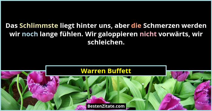 Das Schlimmste liegt hinter uns, aber die Schmerzen werden wir noch lange fühlen. Wir galoppieren nicht vorwärts, wir schleichen.... - Warren Buffett