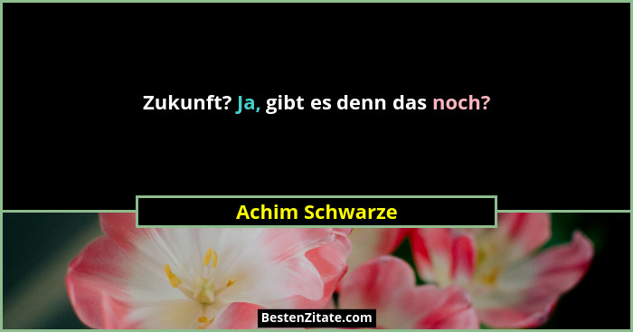 Zukunft? Ja, gibt es denn das noch?... - Achim Schwarze
