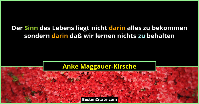 Der Sinn des Lebens liegt nicht darin alles zu bekommen sondern darin daß wir lernen nichts zu behalten... - Anke Maggauer-Kirsche
