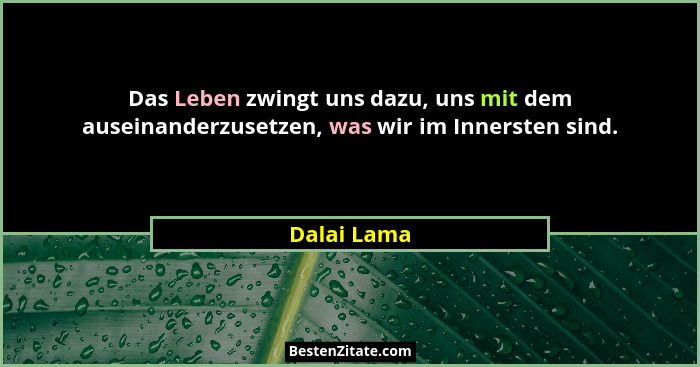 Das Leben zwingt uns dazu, uns mit dem auseinanderzusetzen, was wir im Innersten sind.... - Dalai Lama