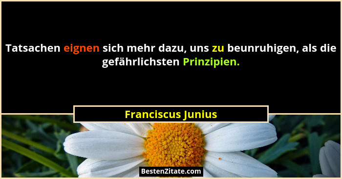 Tatsachen eignen sich mehr dazu, uns zu beunruhigen, als die gefährlichsten Prinzipien.... - Franciscus Junius