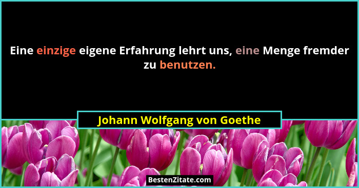 Eine einzige eigene Erfahrung lehrt uns, eine Menge fremder zu benutzen.... - Johann Wolfgang von Goethe