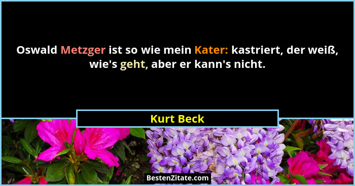 Oswald Metzger ist so wie mein Kater: kastriert, der weiß, wie's geht, aber er kann's nicht.... - Kurt Beck