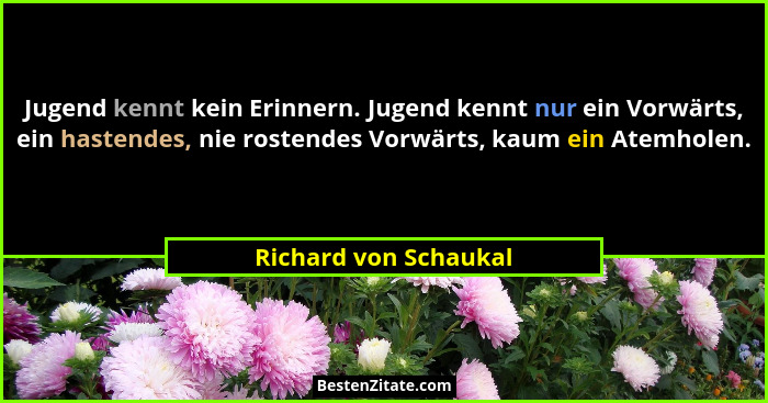 Jugend kennt kein Erinnern. Jugend kennt nur ein Vorwärts, ein hastendes, nie rostendes Vorwärts, kaum ein Atemholen.... - Richard von Schaukal