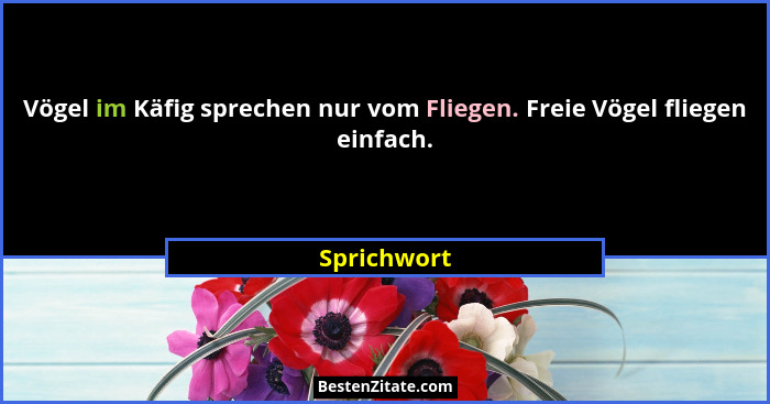 Vögel im Käfig sprechen nur vom Fliegen. Freie Vögel fliegen einfach.... - Sprichwort