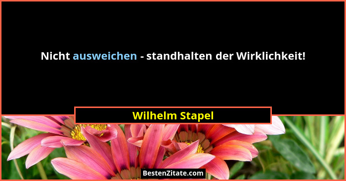 Nicht ausweichen - standhalten der Wirklichkeit!... - Wilhelm Stapel