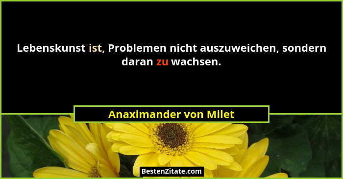 Lebenskunst ist, Problemen nicht auszuweichen, sondern daran zu wachsen.... - Anaximander von Milet