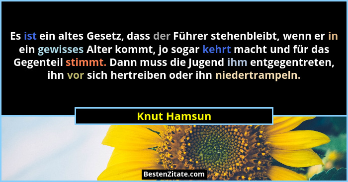 Es ist ein altes Gesetz, dass der Führer stehenbleibt, wenn er in ein gewisses Alter kommt, jo sogar kehrt macht und für das Gegenteil s... - Knut Hamsun