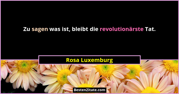 Zu sagen was ist, bleibt die revolutionärste Tat.... - Rosa Luxemburg