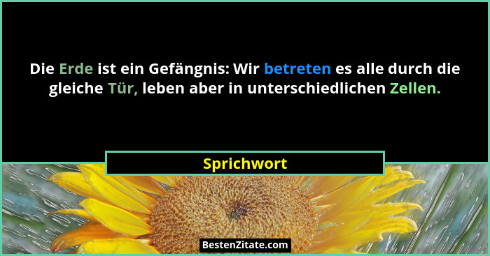 Die Erde ist ein Gefängnis: Wir betreten es alle durch die gleiche Tür, leben aber in unterschiedlichen Zellen.... - Sprichwort