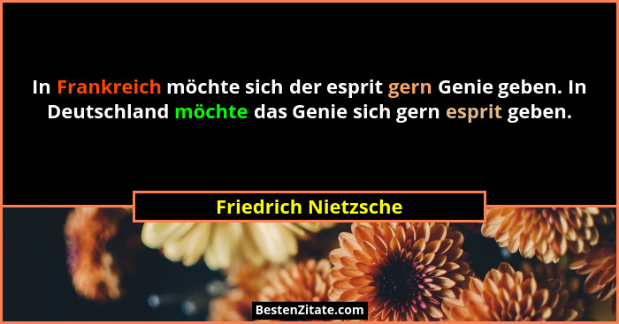 In Frankreich möchte sich der esprit gern Genie geben. In Deutschland möchte das Genie sich gern esprit geben.... - Friedrich Nietzsche