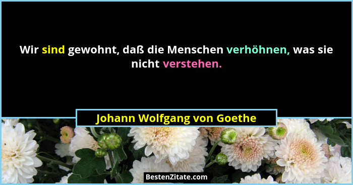 Wir sind gewohnt, daß die Menschen verhöhnen, was sie nicht verstehen.... - Johann Wolfgang von Goethe