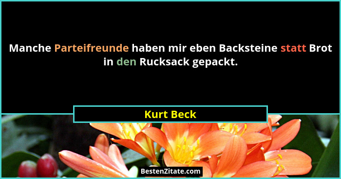 Manche Parteifreunde haben mir eben Backsteine statt Brot in den Rucksack gepackt.... - Kurt Beck