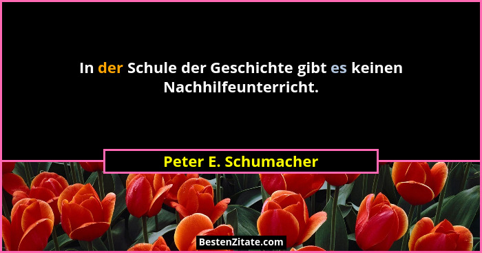 In der Schule der Geschichte gibt es keinen Nachhilfeunterricht.... - Peter E. Schumacher