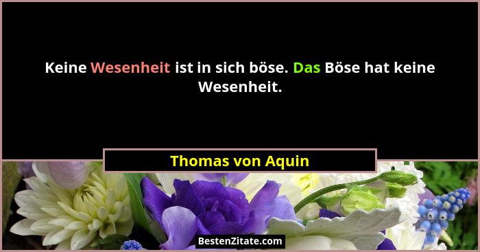 Keine Wesenheit ist in sich böse. Das Böse hat keine Wesenheit.... - Thomas von Aquin