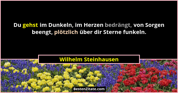 Du gehst im Dunkeln, im Herzen bedrängt, von Sorgen beengt, plötzlich über dir Sterne funkeln.... - Wilhelm Steinhausen