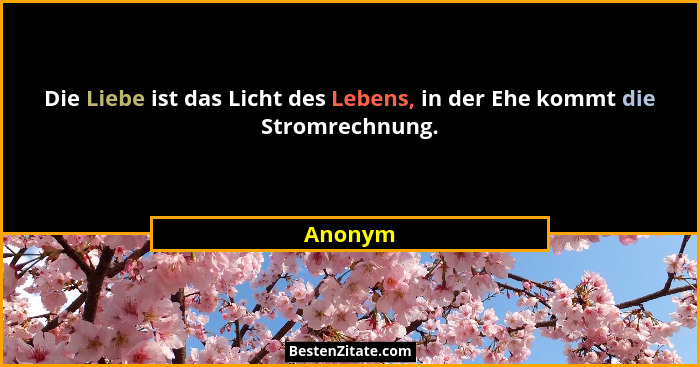 Die Liebe ist das Licht des Lebens, in der Ehe kommt die Stromrechnung.... - Anonym