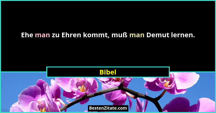 Ehe man zu Ehren kommt, muß man Demut lernen.... - Bibel