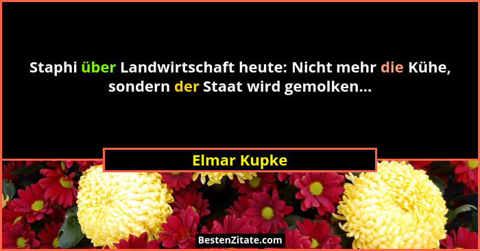 Staphi über Landwirtschaft heute: Nicht mehr die Kühe, sondern der Staat wird gemolken...... - Elmar Kupke