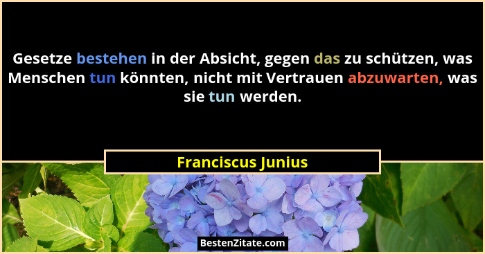 Gesetze bestehen in der Absicht, gegen das zu schützen, was Menschen tun könnten, nicht mit Vertrauen abzuwarten, was sie tun werd... - Franciscus Junius