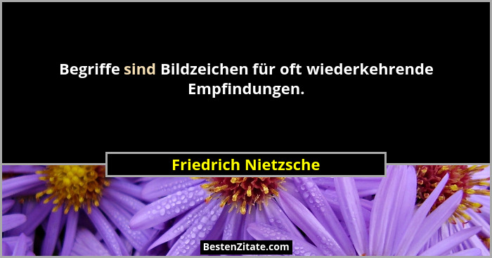 Begriffe sind Bildzeichen für oft wiederkehrende Empfindungen.... - Friedrich Nietzsche