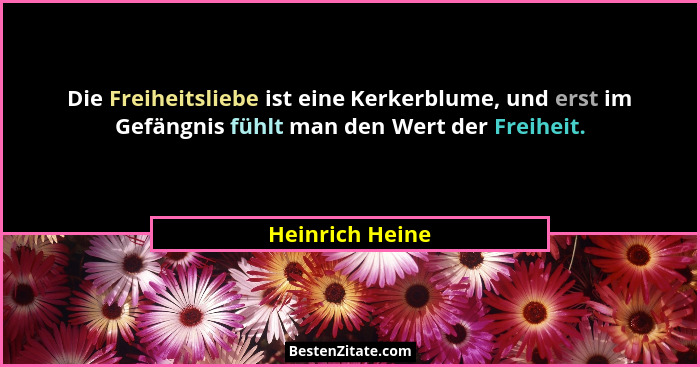 Die Freiheitsliebe ist eine Kerkerblume, und erst im Gefängnis fühlt man den Wert der Freiheit.... - Heinrich Heine
