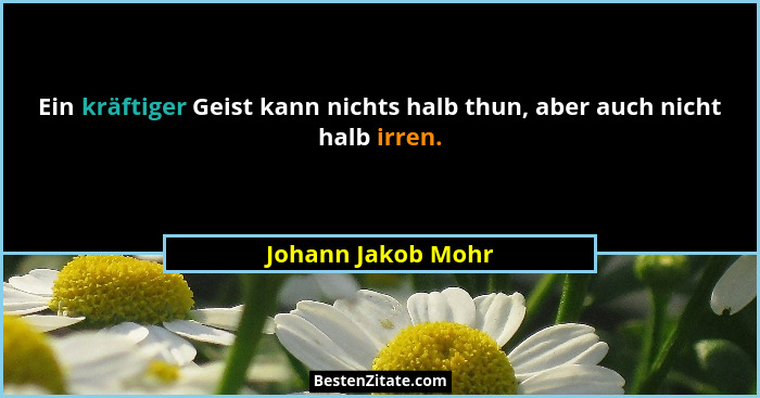 Ein kräftiger Geist kann nichts halb thun, aber auch nicht halb irren.... - Johann Jakob Mohr