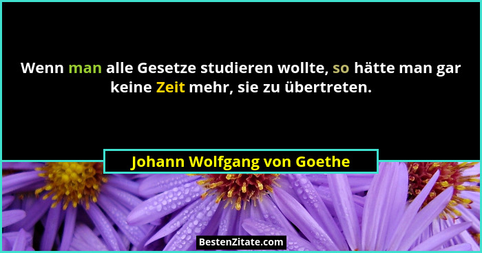 Wenn man alle Gesetze studieren wollte, so hätte man gar keine Zeit mehr, sie zu übertreten.... - Johann Wolfgang von Goethe