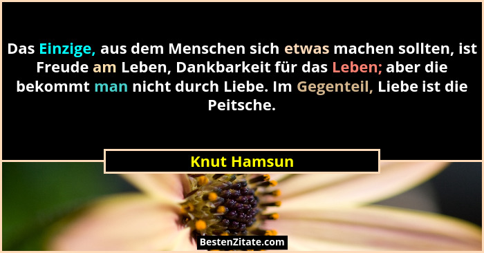 Das Einzige, aus dem Menschen sich etwas machen sollten, ist Freude am Leben, Dankbarkeit für das Leben; aber die bekommt man nicht durc... - Knut Hamsun