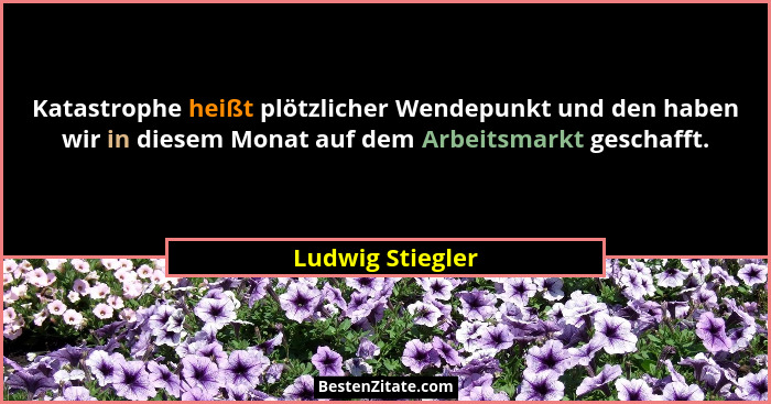Katastrophe heißt plötzlicher Wendepunkt und den haben wir in diesem Monat auf dem Arbeitsmarkt geschafft.... - Ludwig Stiegler