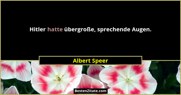 Hitler hatte übergroße, sprechende Augen.... - Albert Speer