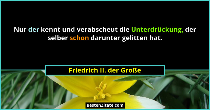 Nur der kennt und verabscheut die Unterdrückung, der selber schon darunter gelitten hat.... - Friedrich II. der Große