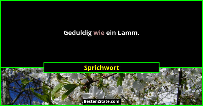 Geduldig wie ein Lamm.... - Sprichwort