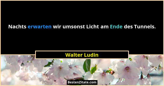 Nachts erwarten wir umsonst Licht am Ende des Tunnels.... - Walter Ludin