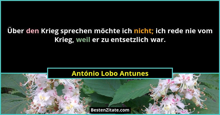 Über den Krieg sprechen möchte ich nicht; ich rede nie vom Krieg, weil er zu entsetzlich war.... - António Lobo Antunes