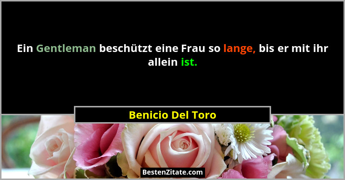 Ein Gentleman beschützt eine Frau so lange, bis er mit ihr allein ist.... - Benicio Del Toro