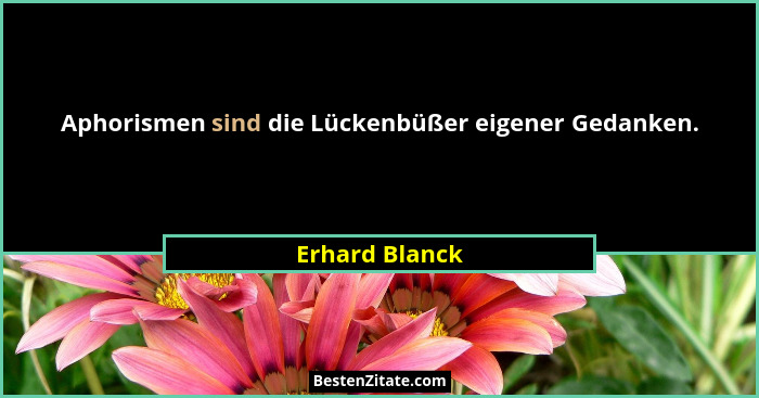 Aphorismen sind die Lückenbüßer eigener Gedanken.... - Erhard Blanck