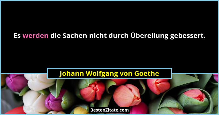 Es werden die Sachen nicht durch Übereilung gebessert.... - Johann Wolfgang von Goethe