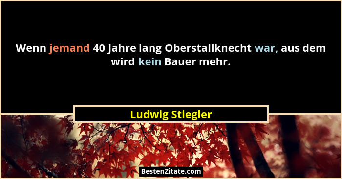 Wenn jemand 40 Jahre lang Oberstallknecht war, aus dem wird kein Bauer mehr.... - Ludwig Stiegler