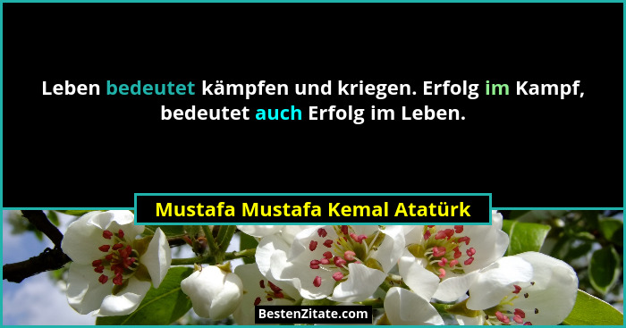 Leben bedeutet kämpfen und kriegen. Erfolg im Kampf, bedeutet auch Erfolg im Leben.... - Mustafa Mustafa Kemal Atatürk