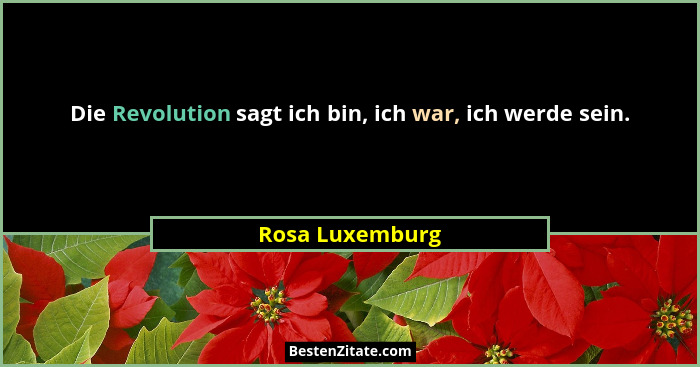 Die Revolution sagt ich bin, ich war, ich werde sein.... - Rosa Luxemburg
