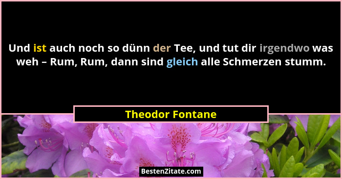 Und ist auch noch so dünn der Tee, und tut dir irgendwo was weh – Rum, Rum, dann sind gleich alle Schmerzen stumm.... - Theodor Fontane
