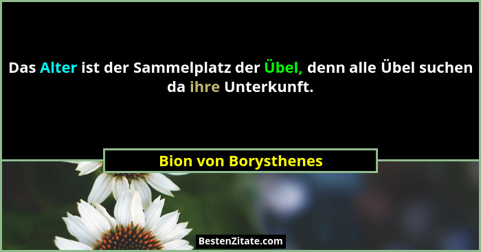 Das Alter ist der Sammelplatz der Übel, denn alle Übel suchen da ihre Unterkunft.... - Bion von Borysthenes